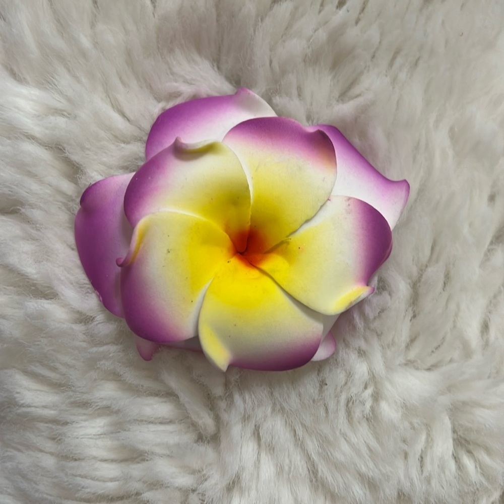 Hair Accessories